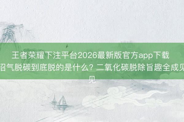 王者荣耀下注平台2026最新版官方app下载 沼气脱碳到底脱的是什么? 二氧化碳脱除旨趣全成见