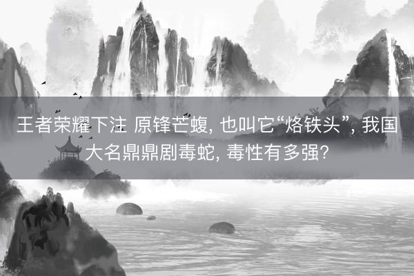 王者荣耀下注 原锋芒蝮, 也叫它“烙铁头”, 我国大名鼎鼎剧毒蛇, 毒性有多强?
