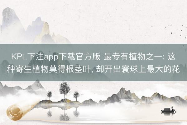 KPL下注app下载官方版 最专有植物之一: 这种寄生植物莫得根茎叶, 却开出寰球上最大的花