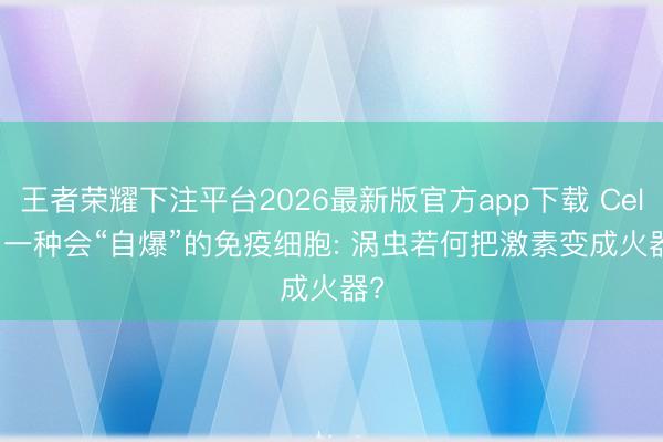 王者荣耀下注平台2026最新版官方app下载 Cell | 一种会“自爆”的免疫细胞: 涡虫若何把激素变成火器?