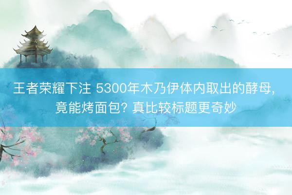 王者荣耀下注 5300年木乃伊体内取出的酵母, 竟能烤面包? 真比较标题更奇妙
