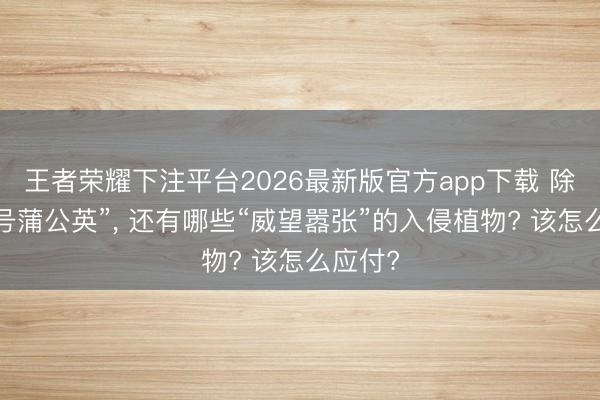 王者荣耀下注平台2026最新版官方app下载 除了“大号蒲公英”， 还有哪些“威望嚣张”的入侵植物? 该怎么应付?