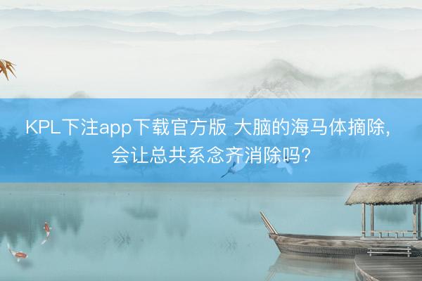 KPL下注app下载官方版 大脑的海马体摘除， 会让总共系念齐消除吗?