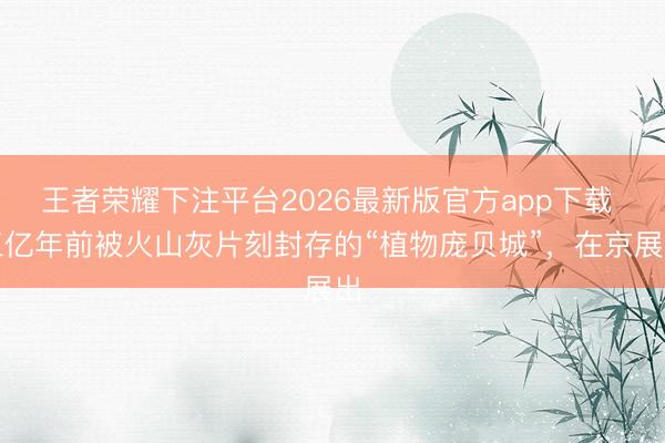 王者荣耀下注平台2026最新版官方app下载 三亿年前被火山灰片刻封存的“植物庞贝城”，在京展出