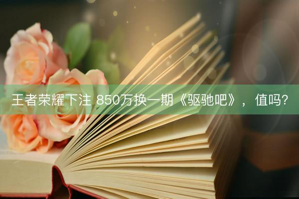 王者荣耀下注 850万换一期《驱驰吧》，值吗？