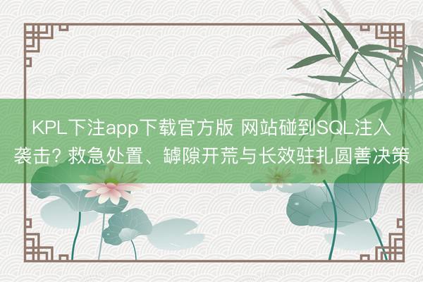 KPL下注app下载官方版 网站碰到SQL注入袭击? 救急处置、罅隙开荒与长效驻扎圆善决策