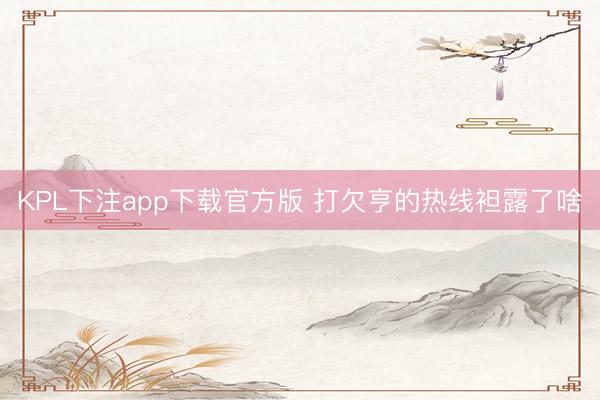 KPL下注app下载官方版 打欠亨的热线袒露了啥