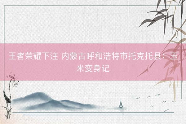 王者荣耀下注 内蒙古呼和浩特市托克托县：玉米变身记